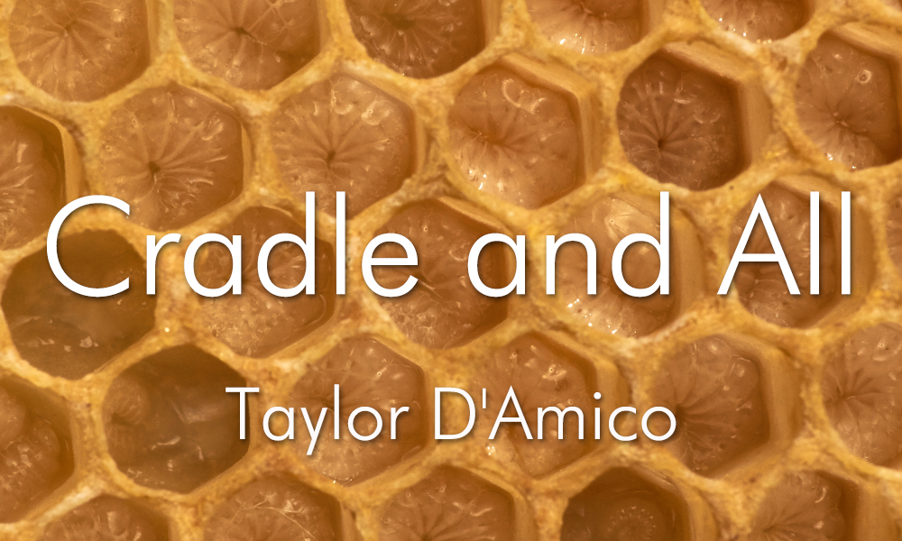 Poetry: Cradle and All by Taylor D'Amico  Frontier Poetry - Exploring the  Edges of Contemporary Poetry